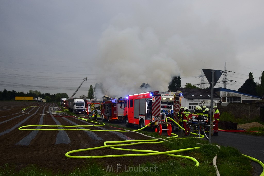 Feuer 3 Rheinkassel Feldkasseler Weg P0786.JPG - Miklos Laubert
